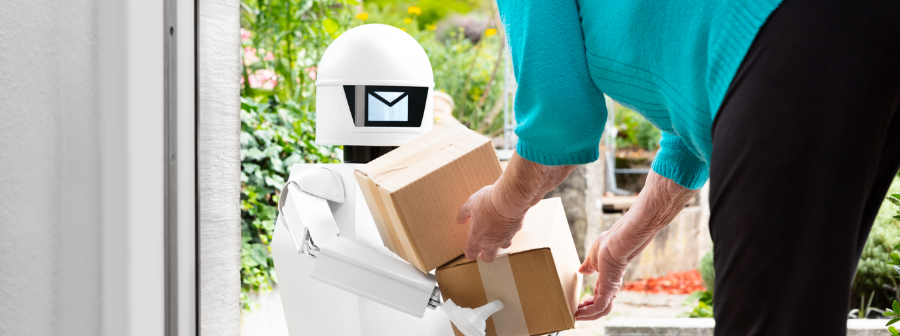 Robots-in-Delivery-Errands